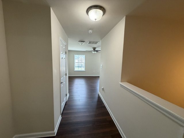 Gallery Photo 14